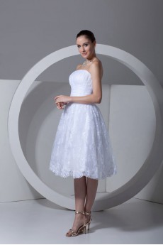 Strapless Satin and Lace Knee Length Dress