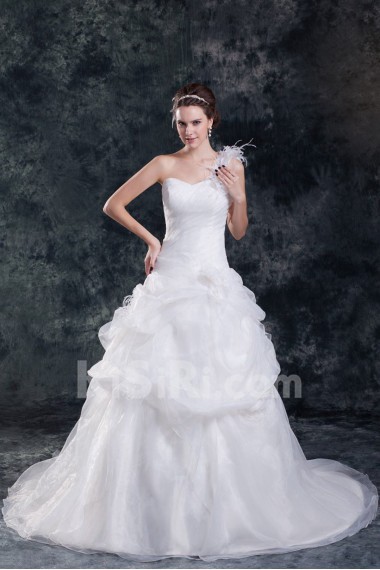Organza One Shoulder A Line Gown with Feather