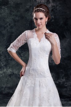 Lace V-Neck A Line Half-Sleeves Gown