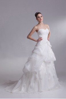 Organza Sweetheart A Line Gown with Embroidery