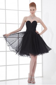 Net Sweetheart Short Dress with Embroidery