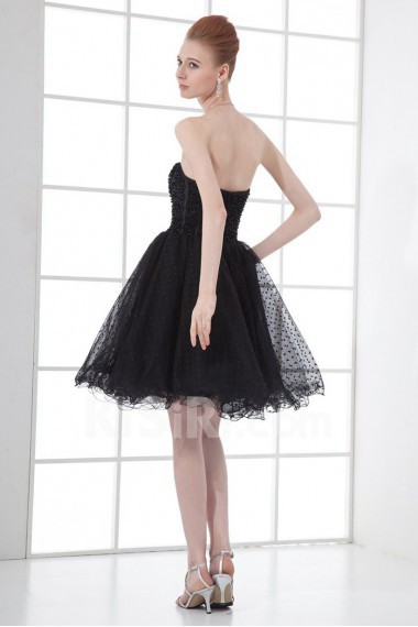Net Sweetheart Short Dress with Embroidery