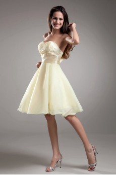 Organza Sweetheart Short A Line Dress with Embroidery