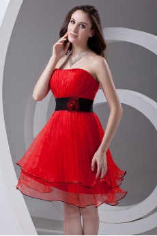 Organza Strapless Knee Length Dress with Sash