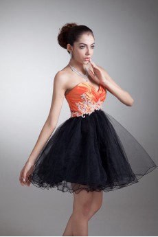 Taffeta and Net Sweetheart Short A Line Dress with Embroidery