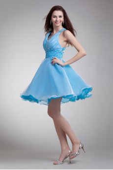 Organza V-Neck Short Dress with Embroidery