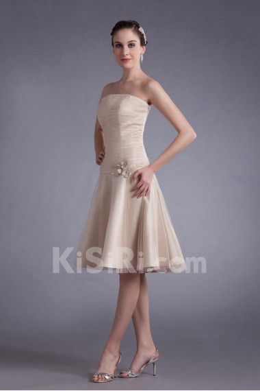 Net Strapless Knee Length Sheath Dress with Embroidery