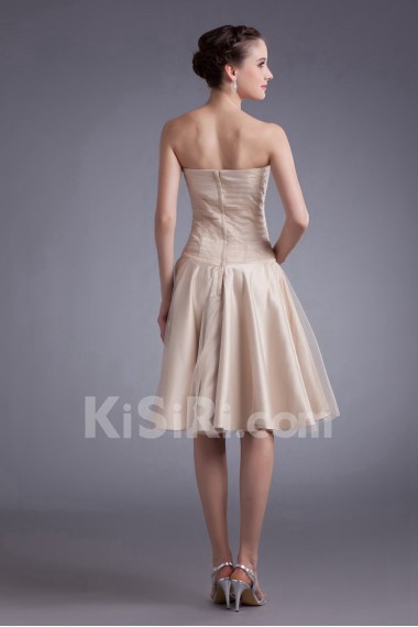 Net Strapless Knee Length Sheath Dress with Embroidery