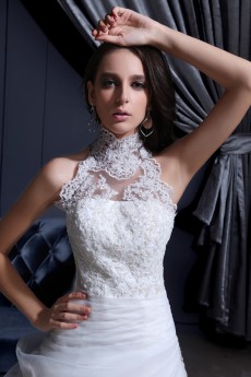 Lace High Collar Neckline A-Line Dress with Beaded