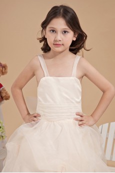 Organza Straps Neckline Ankle-Length Ball Gown Dress