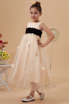 Organza and Satin Jewel Neckline Tea-length A-line Dress with Embroidery 