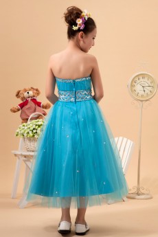 Tulle Sweetheart Tea-Length A-Line Dress with Embroidery