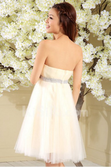 Satin and Tulle Strapless Dress with Diamond