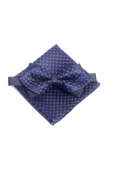 Blue Checkered Microfiber 
Bow Tie and Pocket Square