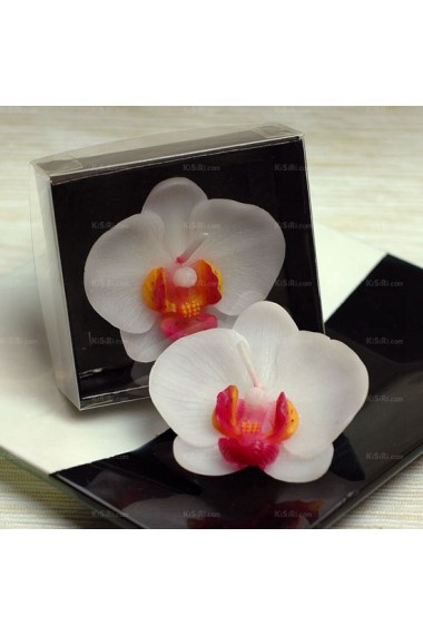 White Phalaenopsis Candle Couples Gift