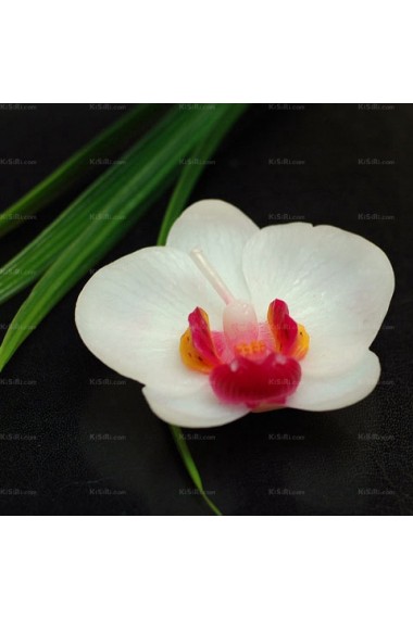 White Phalaenopsis Candle Couples Gift