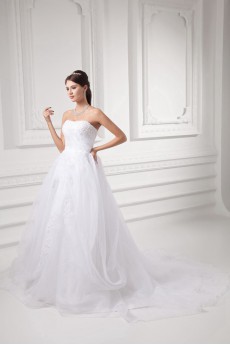 Organza Strapless A Line Gown with Embroidery