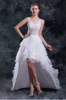 Organza V-Neck A Line Gown with Embroidery