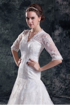 Lace V-Neck A Line Half-Sleeves Gown