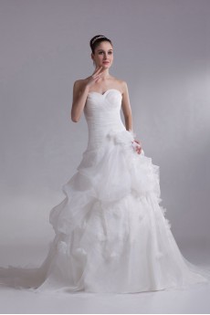 Organza Sweetheart A Line Gown with Embroidery