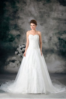 Organza Sweetheart A Line Gown with Embroidery