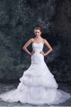 Organza Sweetheart Sheath Gown with Embroidery