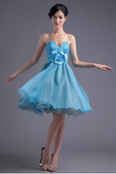 Organza Sweetheart Knee Length Dress