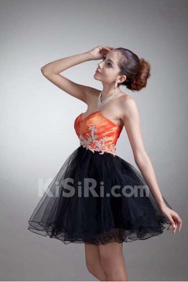 Taffeta and Net Sweetheart Short A Line Dress with Embroidery