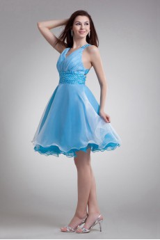 Organza V-Neck Short Dress with Embroidery