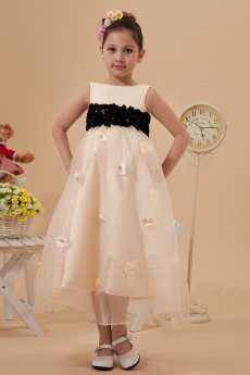 Organza and Satin Jewel Neckline Tea-length A-line Dress with Embroidery 