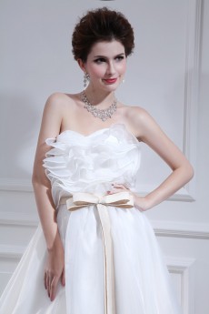 Organza Strapless Floor Length Ball Gown