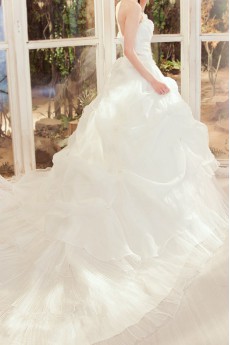 Tulle Strapless Cathedral Train Ball Gown