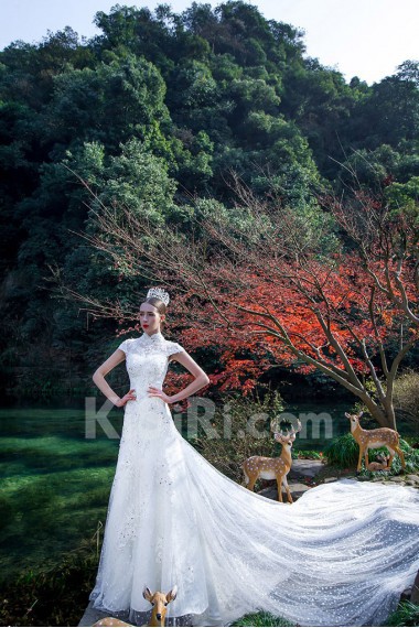 Net,Lace,Satin High Collar A-line Dress with Embroidery