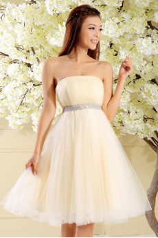 Satin and Tulle Strapless Dress with Diamond