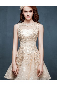 Lace, Tulle Jewel Mini/Short Sleeveless Ball Gown Dress with Embroidered