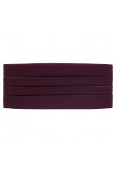 Men's Plum Microfiber Waistband 