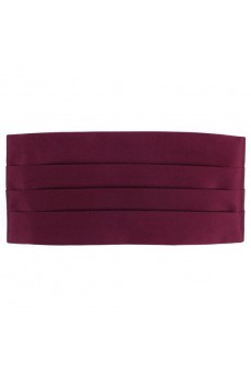 Men's Crimson Microfiber Waistband  