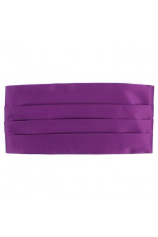 Men's Purple Microfiber Waistband  