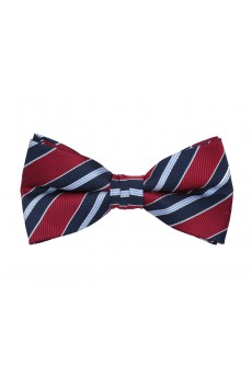 Red Striped Cotton & Polyester Butterfly Bow Tie