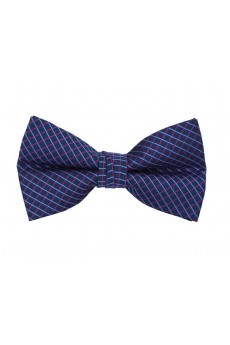 Blue Checkered Cotton & Polyester Butterfly Bow Tie