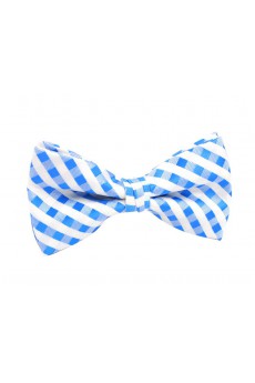 Blue Striped Polyester Butterfly Bow Tie